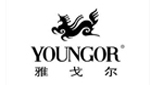 雅戈爾(600177)